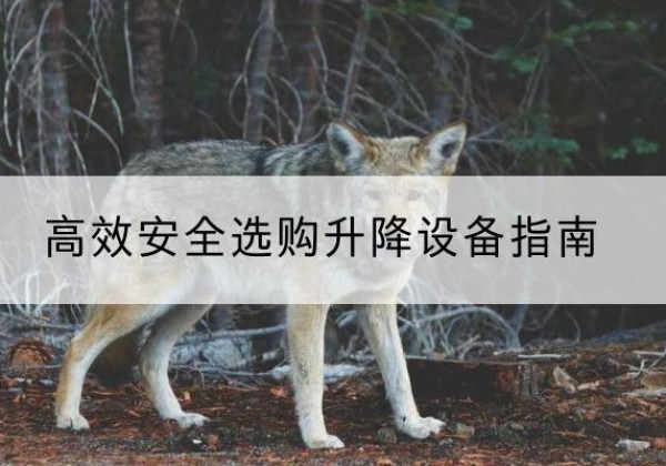 崇仁升降货梯厂家推荐-*安全选购升降设备指南