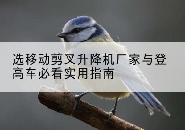 崇仁电动升降机厂家-选移动剪叉升降机厂家与登高车必看实用指南